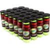 Penn Championship Extra Duty High Altitude Tennis Balls (Case)