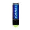 Tecnifibre Champion Tennis Balls (Can Of 3)