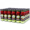 Penn Championship Extra Duty Tennis Balls (Case)