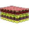 Penn Championship Regular Duty Tennis Balls (Case)